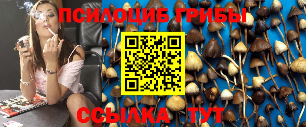 Галлюциногенные грибы мицелий Артёмовский
